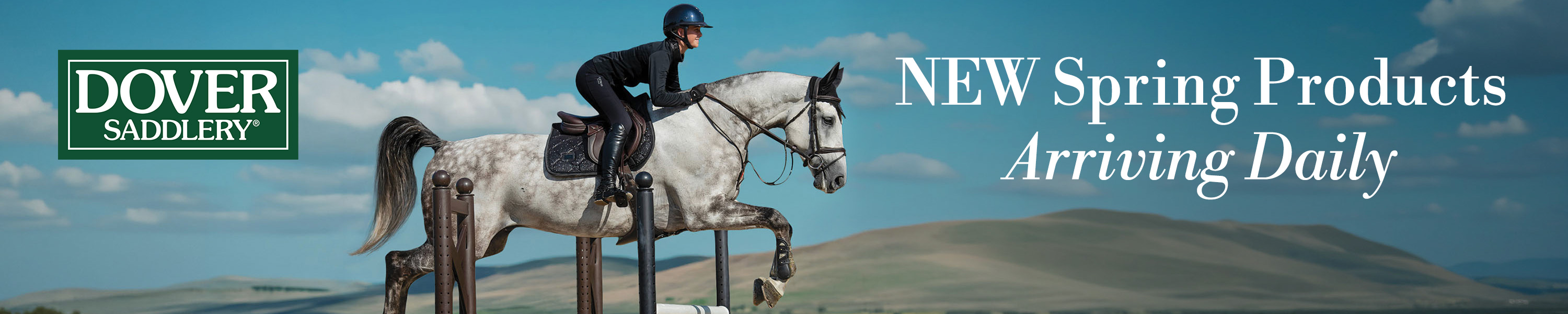 Ride with Premium English Quality